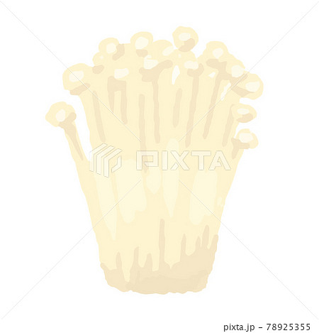 えのきの手描き風イラストのイラスト素材