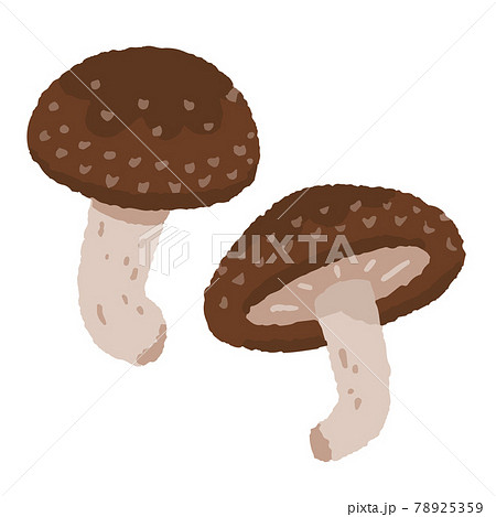 しいたけの手描き風イラストのイラスト素材