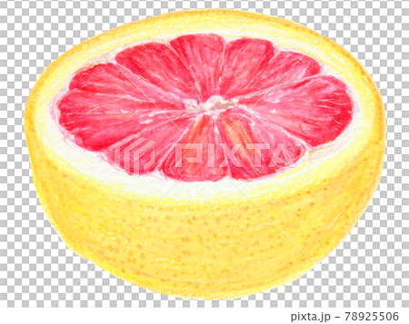 手描き飲食メニュー ピンクグレープフルーツのイラスト素材