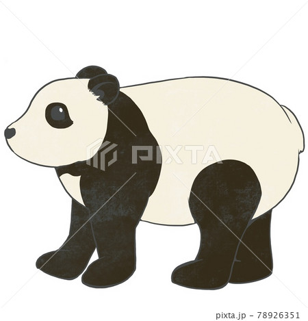 パンダ①ラフのイラスト素材 [78926351] - PIXTA