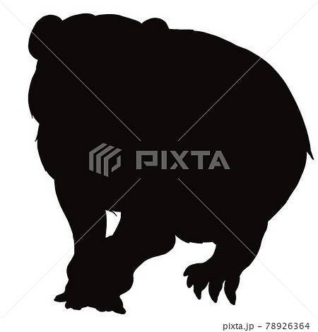 スローロリス①シルエット 78926364