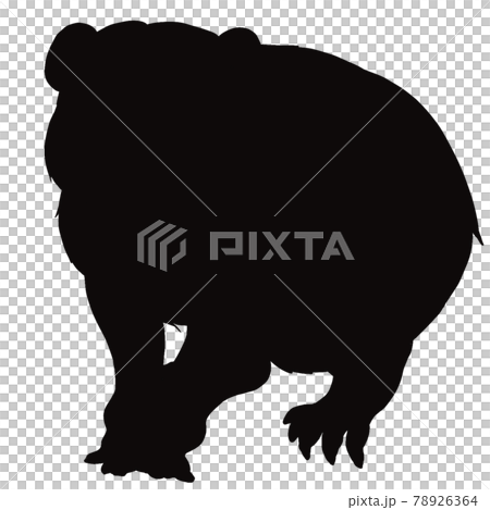 スローロリス①シルエット 78926364