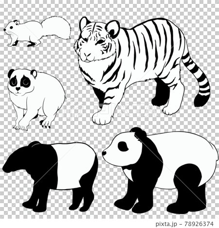 アジアの動物①線画 アジアの動物①線画 78926374