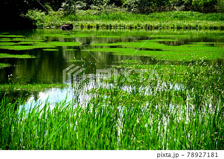 神楽女湖 78927181