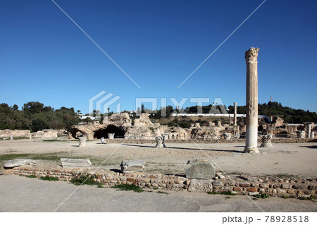 The Antonine Baths, Ancient Carthage, Tunisia 78928518