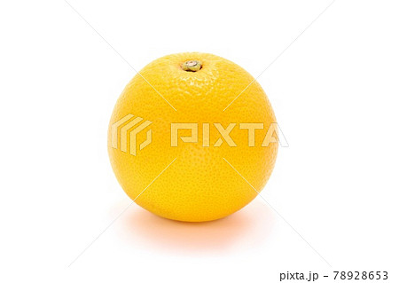 はっさく　1個　まるごと　和歌山県産　柑橘類　明るい背景 78928653
