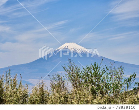 箱根 芦ノ湖スカイライン 杓子峠からの富士山2 箱根 芦ノ湖スカイライン 杓子峠からの富士山2 78929110