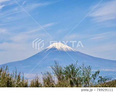 箱根 芦ノ湖スカイライン 杓子峠からの富士山3 箱根 芦ノ湖スカイライン 杓子峠からの富士山3 78929111