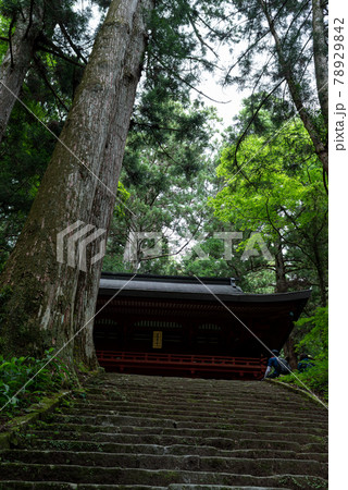 歴史ある石段　鳳来寺山 78929842