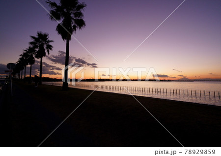 袖ヶ浦海浜公園の夕景 78929859