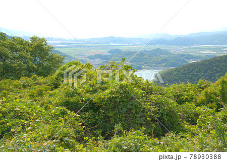 幻虹台から見た神島と笠岡湾干拓地　岡山県笠岡市 78930388