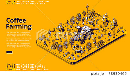 Vector isometric banner of coffee farming Vector isometric banner of coffee farming 78930466