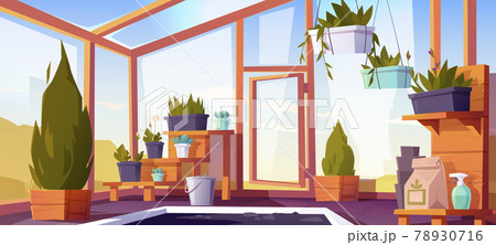 Greenhouse interior with potted plants on shelves Greenhouse interior with potted plants on shelves 78930716