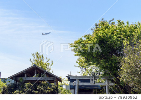 成田空港　東峰神社と飛行機 78930962