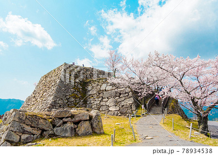 兵庫県 朝来市　竹田城跡と桜 78934538