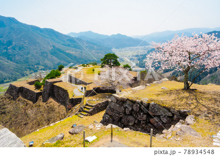 兵庫県 朝来市　竹田城跡と桜 78934548