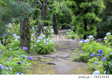 養翠園 あじさいの小道 78934648