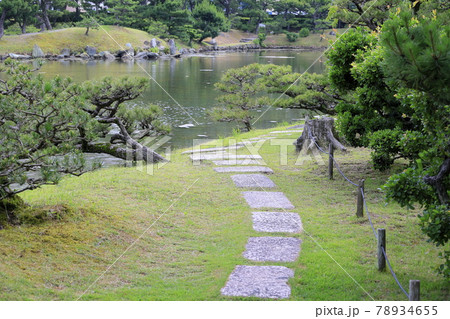 養翠園 あじさいの小道 養翠園 あじさいの小道 78934655