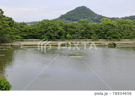養翠園 あじさいの小道 78934656