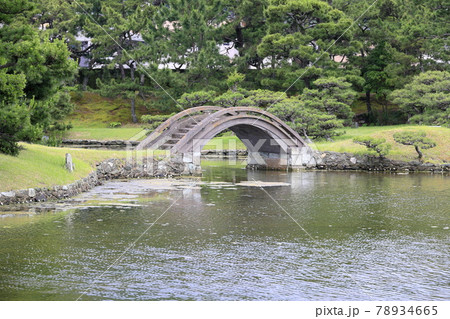 養翠園 あじさいの小道 養翠園 あじさいの小道 78934665