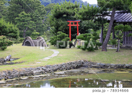 養翠園 あじさいの小道 養翠園 あじさいの小道 78934666
