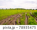 Blurred muddy road track after rain in the field 78935475