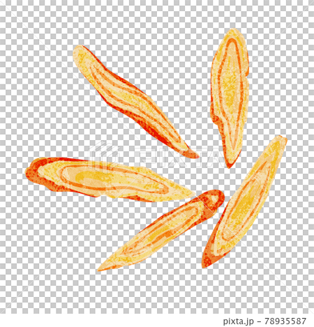 Chinese herbal medicine "licorice" hand-painted watercolor style illustration 78935587