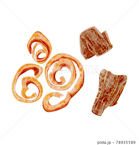 漢方生薬「厚朴（コウボク）」手描き水彩風イラスト 78935589