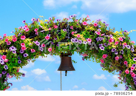 夏空に咲くペチュニアのフラワーアーチ 78936254