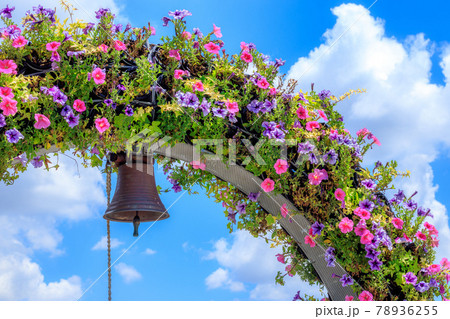 夏空に咲くペチュニアのフラワーアーチ 78936255