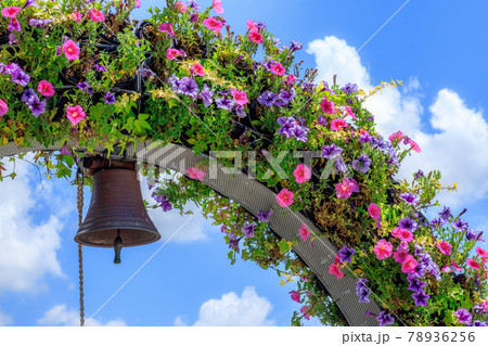 夏空に咲くペチュニアのフラワーアーチ 78936256