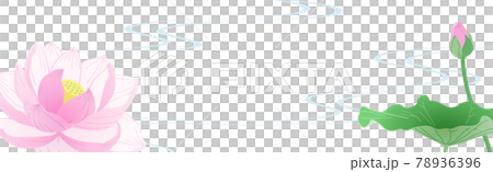 流水中荷花的橫幅圖解 78936396