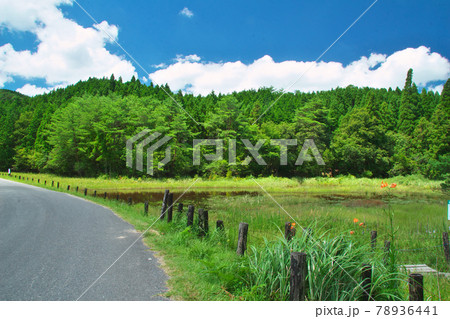 夏の佐賀七山の樫原湿原 夏の佐賀七山の樫原湿原 78936441
