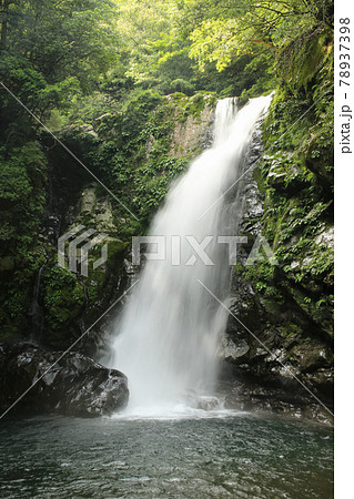 徳島県海陽町　轟九十九滝　鳥返滝 78937398