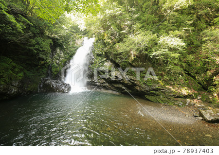 徳島県海陽町　轟九十九滝　鳥返滝 78937403
