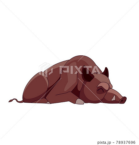 Wild boar sleeping or dead. Cartoon character... - Stock Illustration  [78937696] - PIXTA