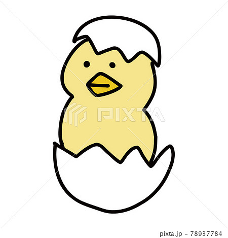 Cute Illustration Of Chicks Stock Illustration