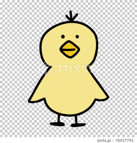 ひよこ ヒヨコ のイラスト 正面のイラスト素材