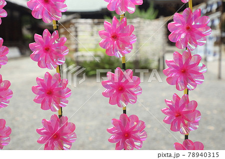 水無瀬神社の初夏 78940315