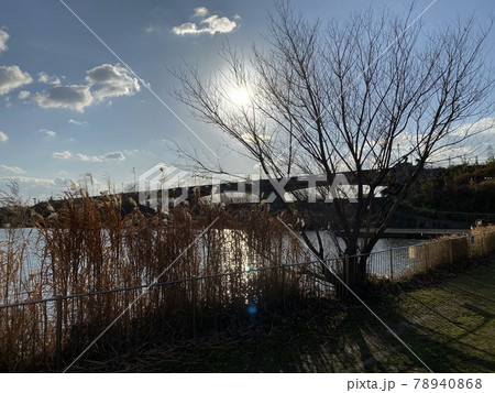 冬枯れの風景 冬枯れの風景 78940868