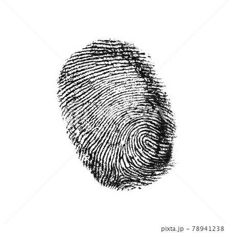 Real fingerprint in white background Super macro Real fingerprint in white background Super macro 78941238