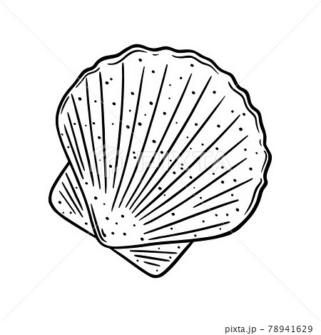 Scallop shell logo. Mediterranean seashell - Stock Illustration