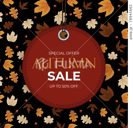 Autumn sale background with falling leaves. Can be used as story post in social network. Vector Illustration 78945662