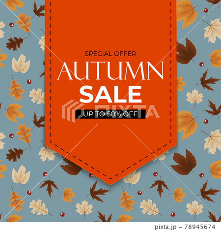 Autumn sale background with falling leaves. Can be used as story post in social network. Vector Illustration 78945674