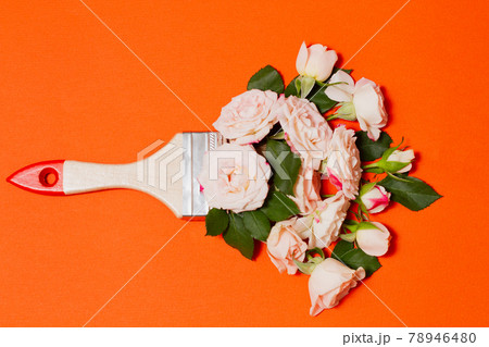 creative concept of paintbrush and white - pink rose flowers 78946480