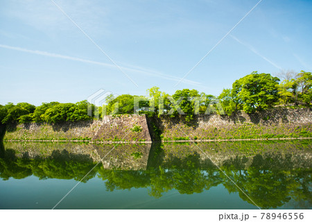 大阪城公園の新緑 78946556