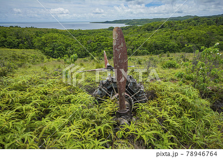 パラオ共和国　アルモノグイ州にある第二次世界大戦中に墜落したゼロ戦の戦跡 78946764