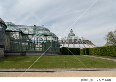 Belgium, Brussels, the royal greenhouses of laeken Belgium, Brussels, the royal greenhouses of laeken 78946801