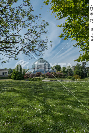 Belgium, Brussels, royal greenhouse of Laeken seen from the outside 78946807