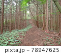 梅雨時のとある登山道 78947625